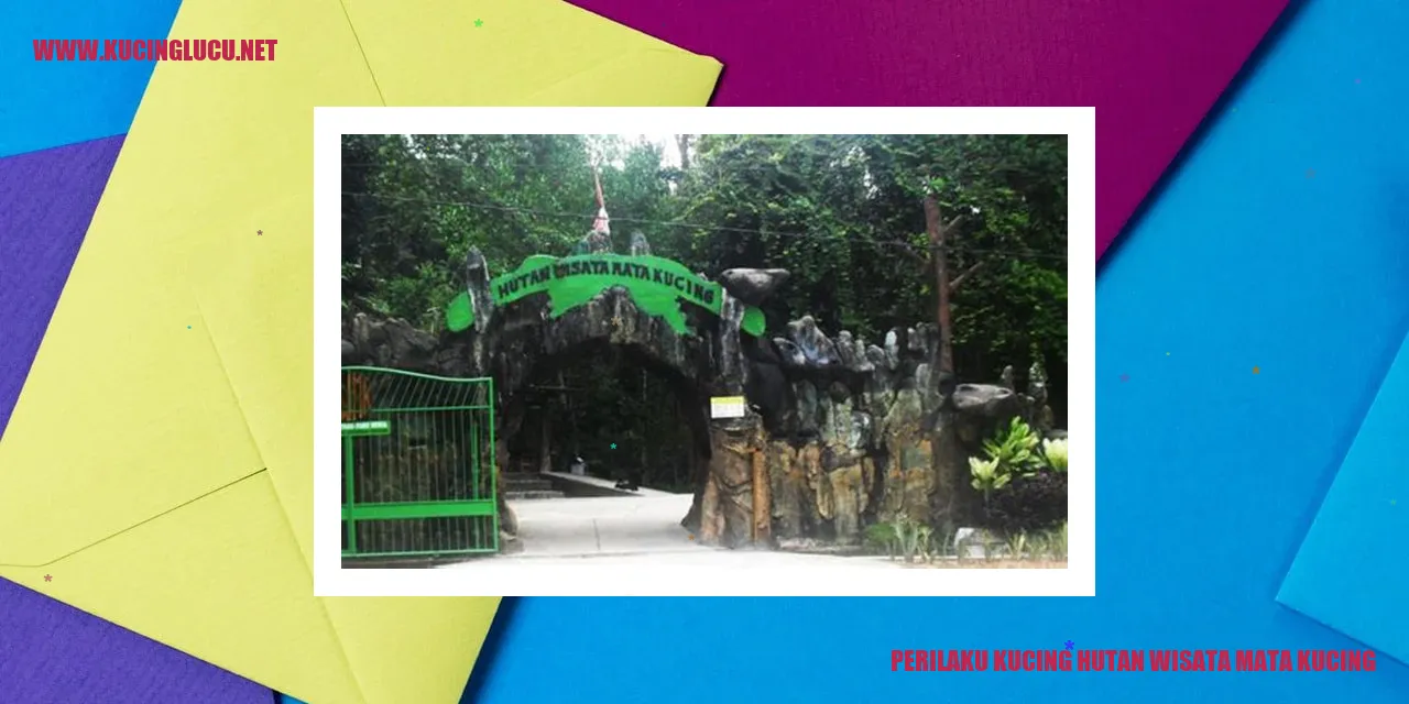 Perilaku Kucing hutan wisata mata kucing
