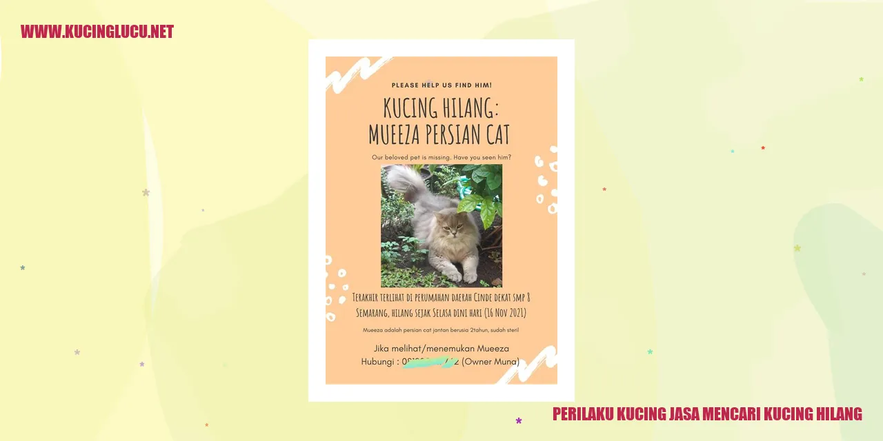 Mencari Kucing yang Hilang