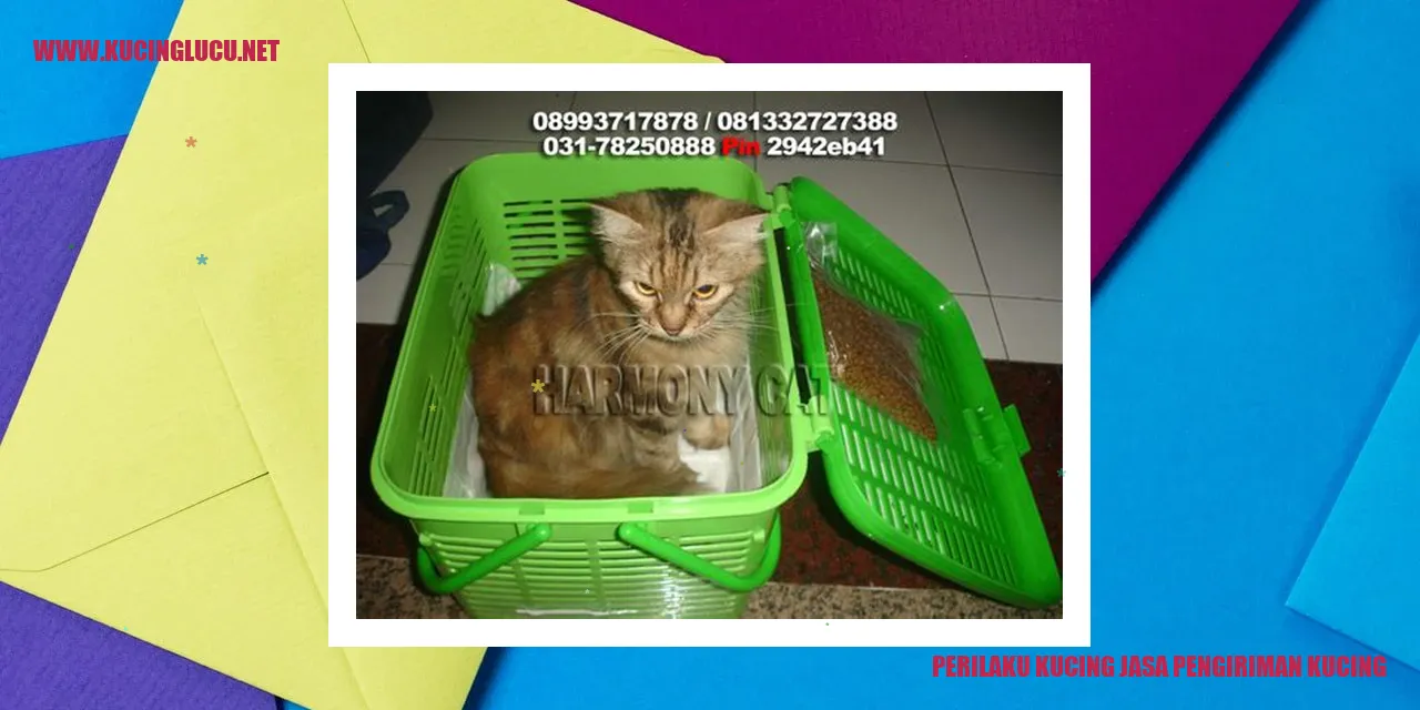 Perilaku Kucing jasa pengiriman kucing