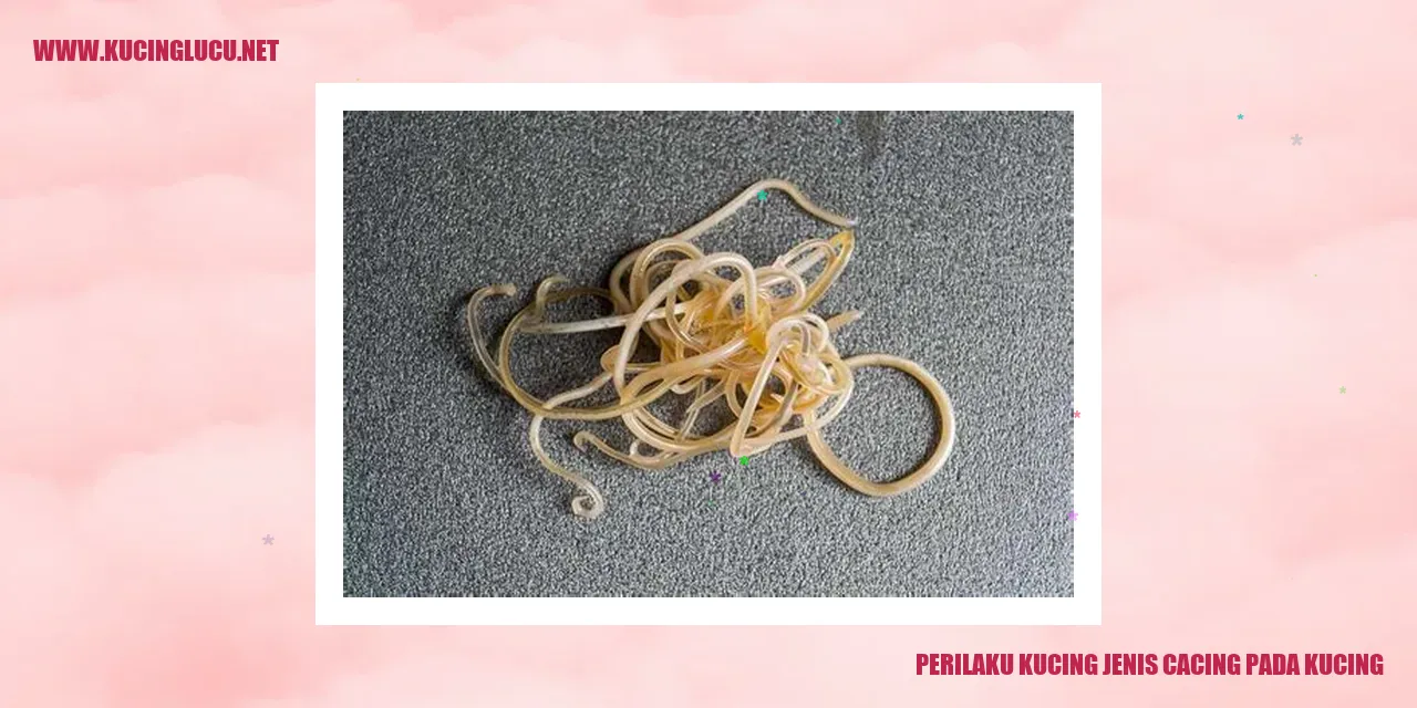 Perilaku Kucing Jenis Cacing pada Kucing