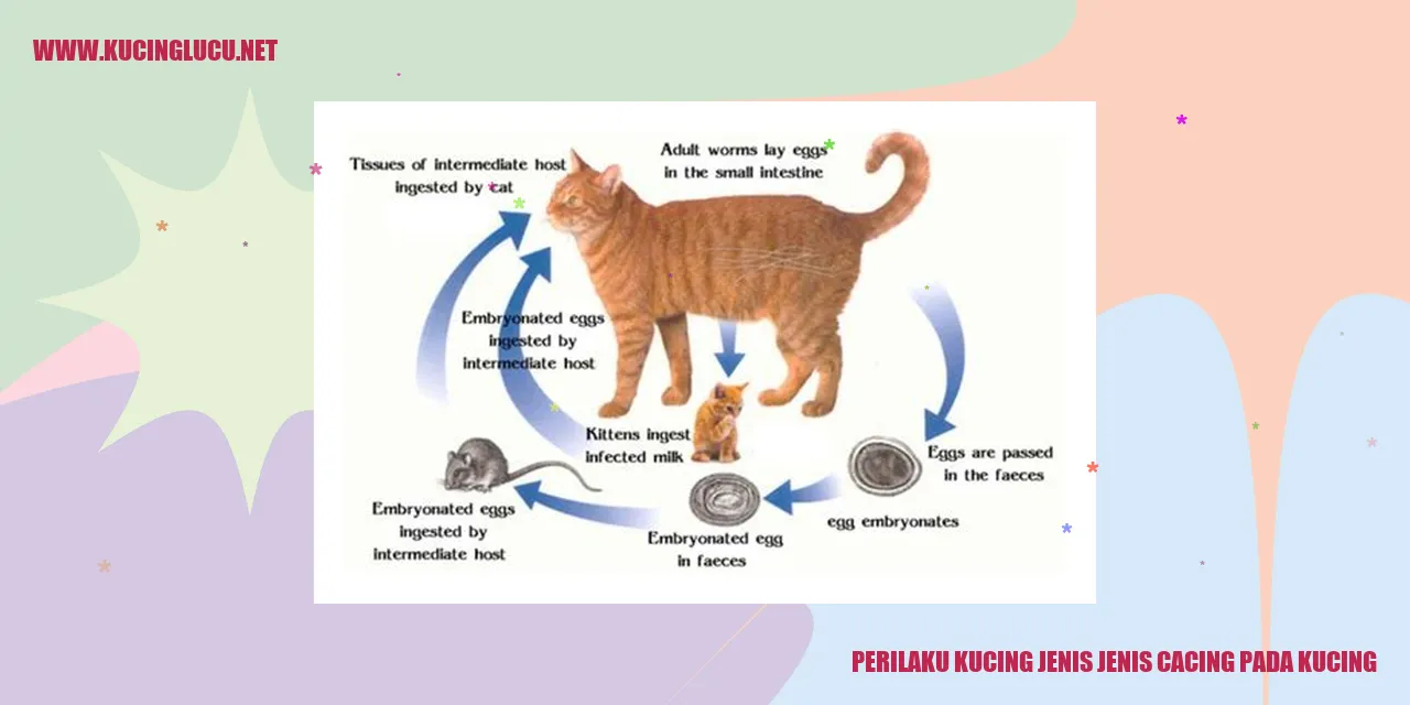Perilaku Kucing Beragam Cacing pada Kucing