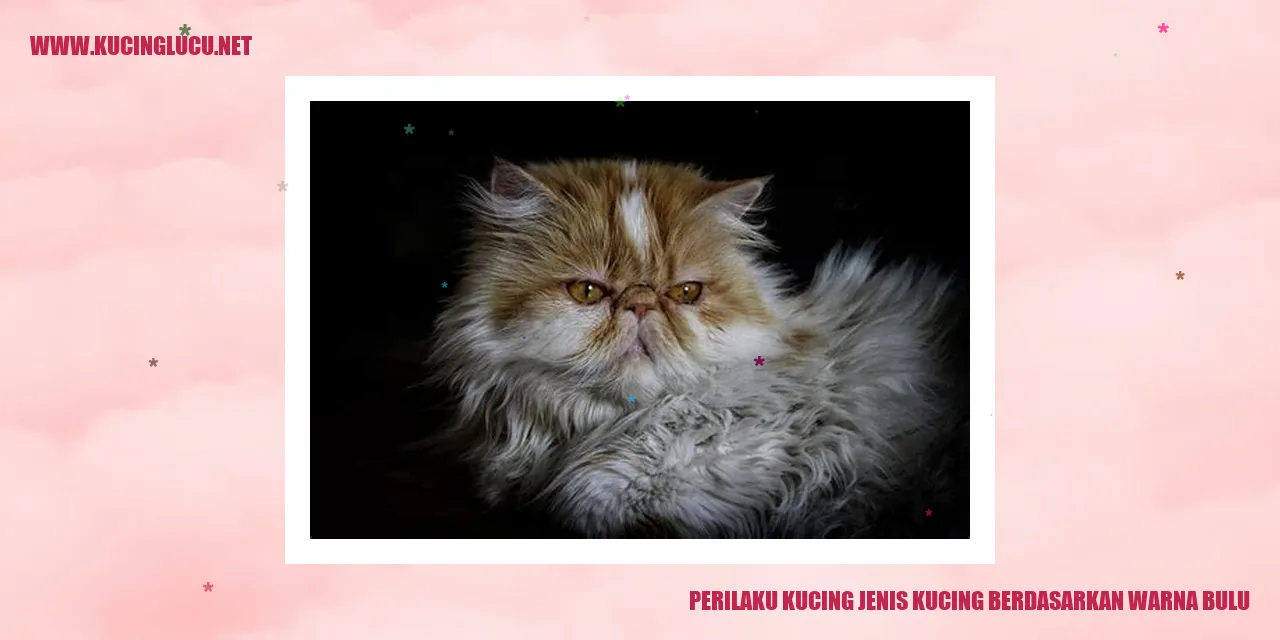 Gambar Kucing dengan Warna Bulu
