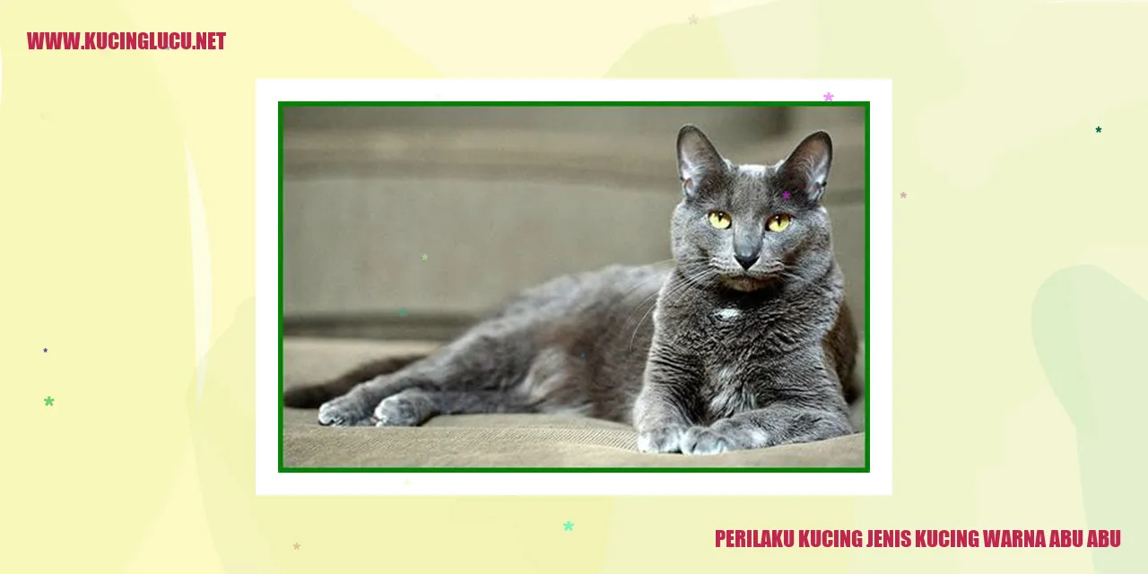 Perilaku Kucing Berwarna Abu-abu