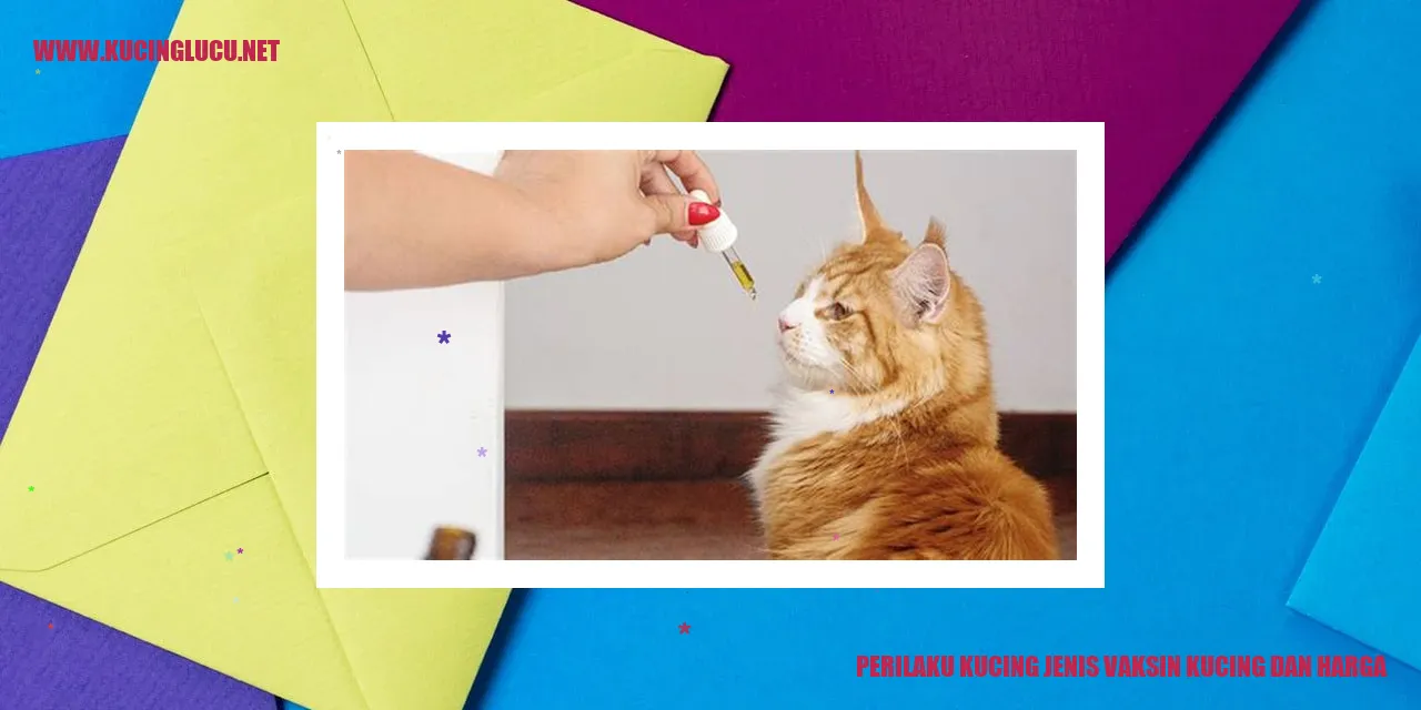 Perilaku Kucing