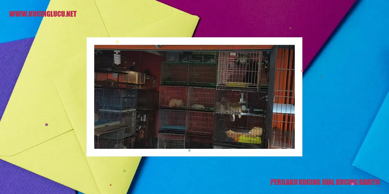 Perilaku Kucing Jual Kucing Barito