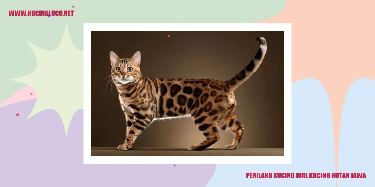 Perilaku Kucing Jawa di Hutan