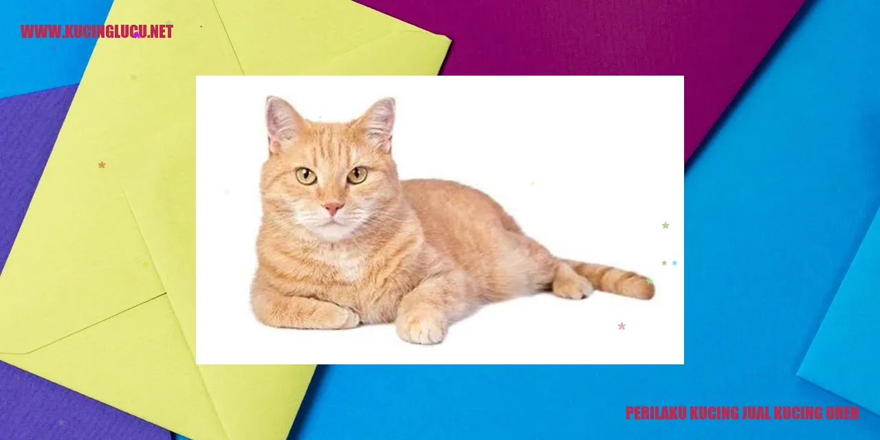 Perilaku Kucing Jual Kucing Oren