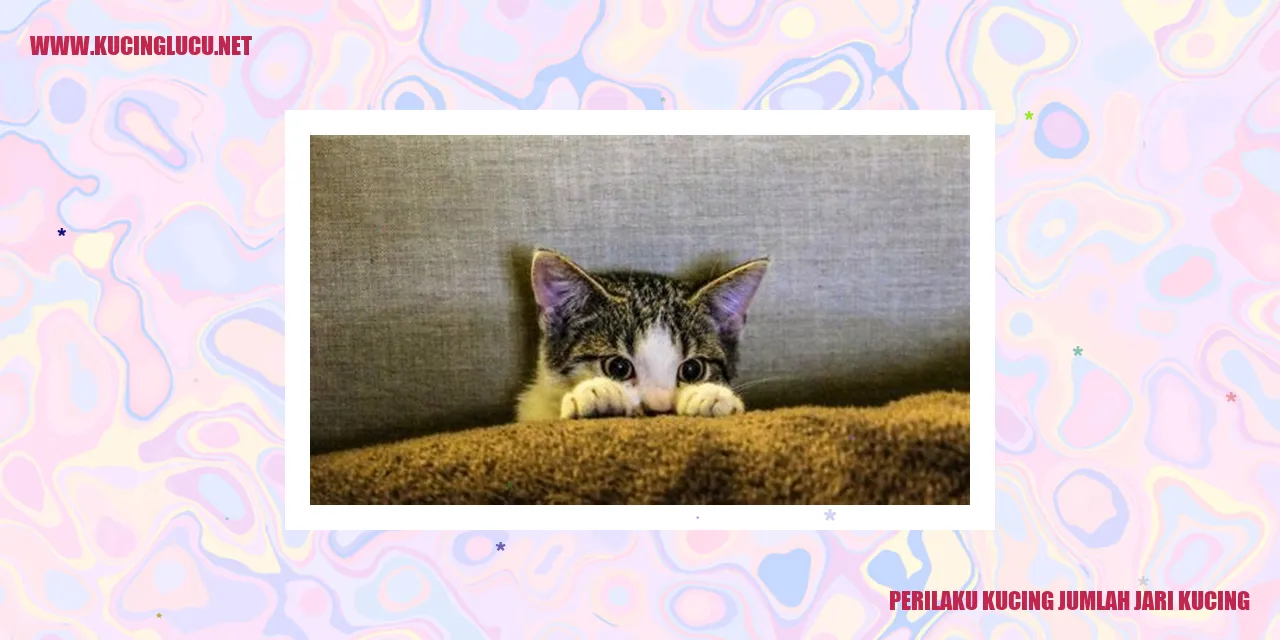 Kucing Jumlah Jari Kucing