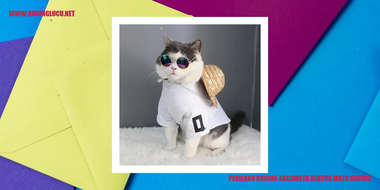 Perilaku Kucing Kacamata