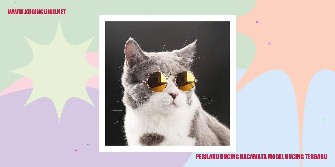 Perilaku kucing kacamata