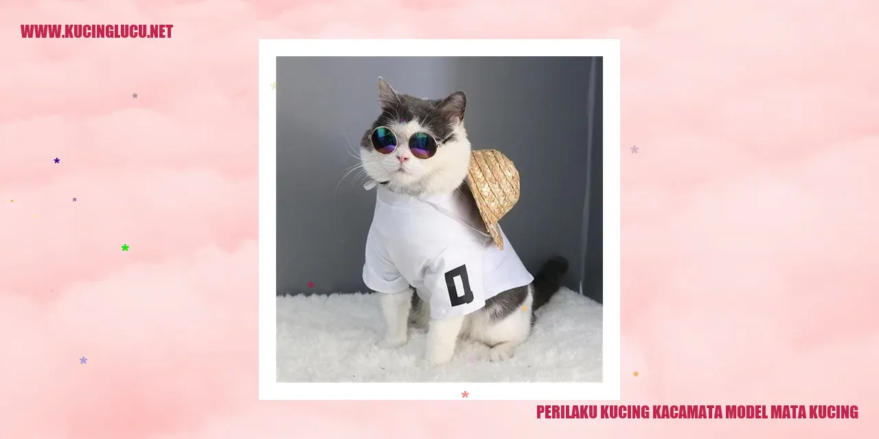 Kucing kacamata model mata kucing