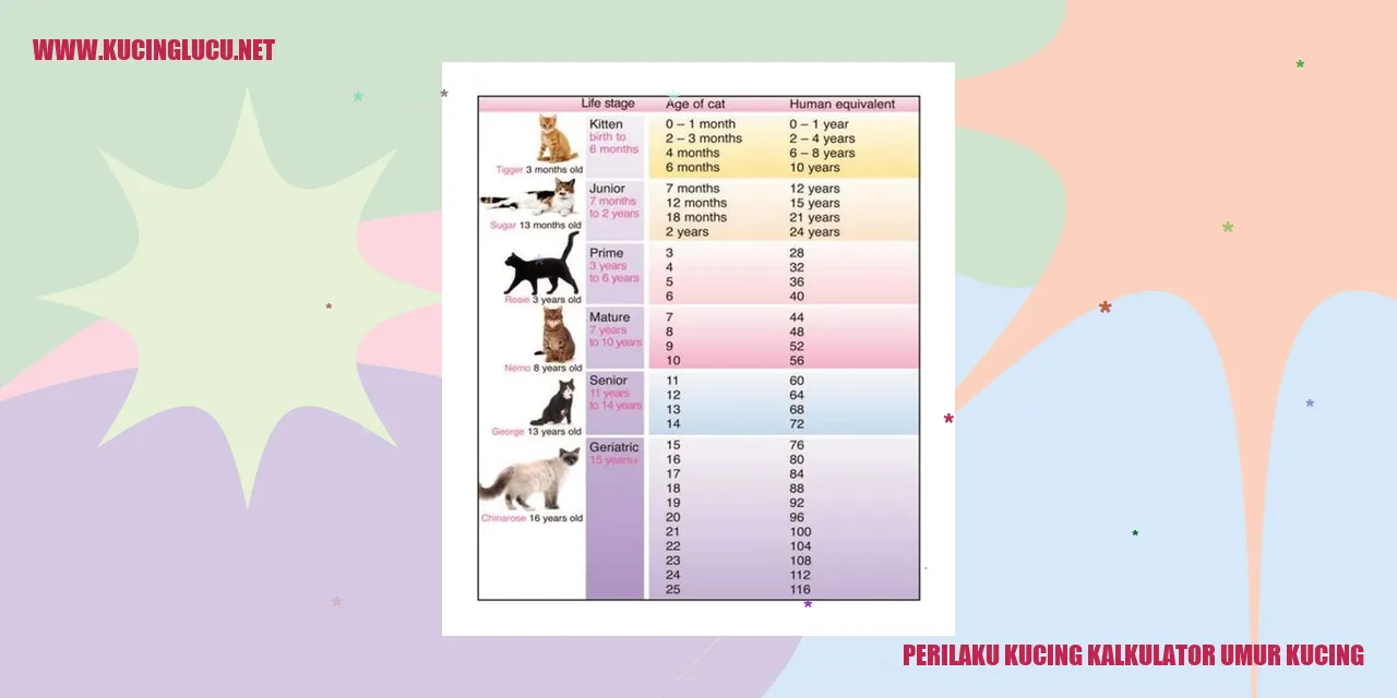 Perilaku Kucing