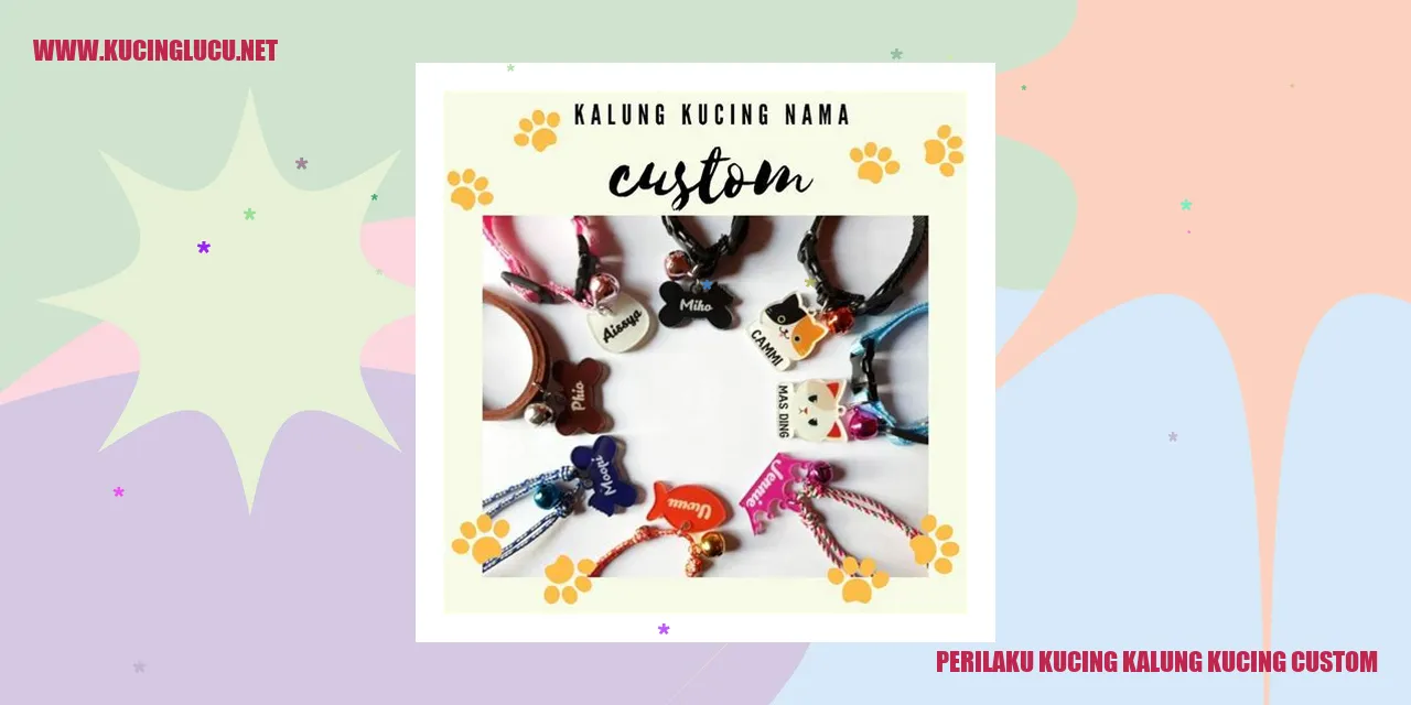Perilaku Kucing Kalung Kucing Custom