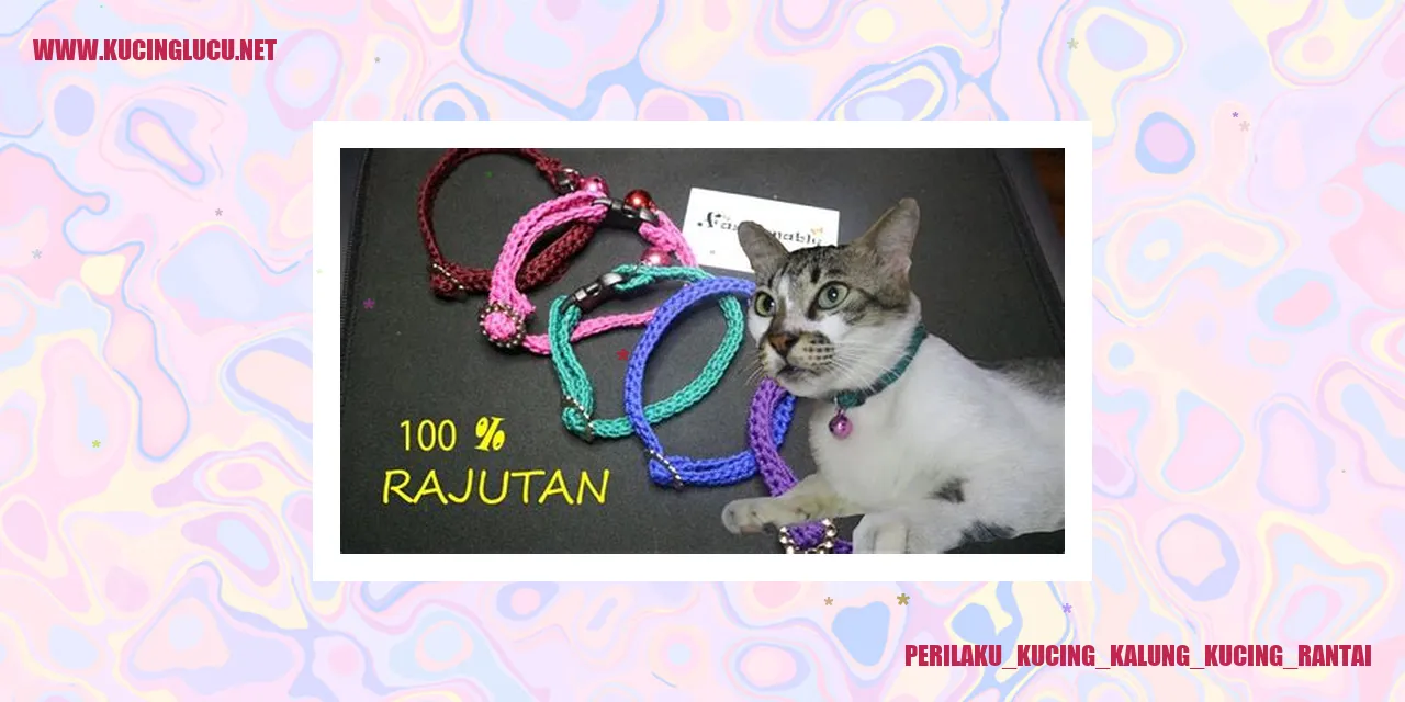 Perilaku Kucing Kalung Kucing Rantai