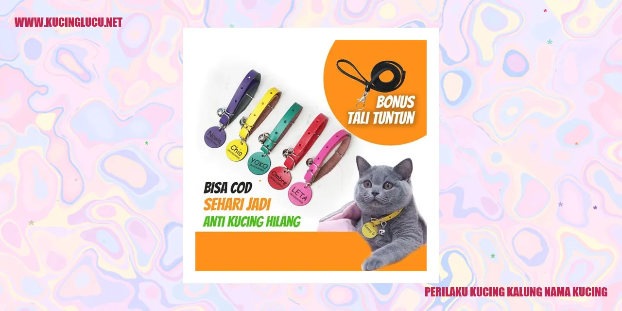 Perilaku Kucing Kalung