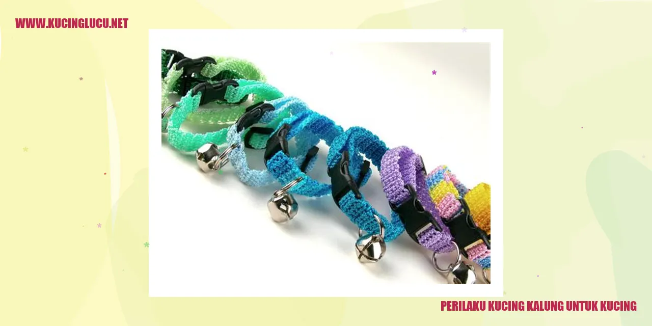 Perilaku Kucing Kalung untuk Kucing