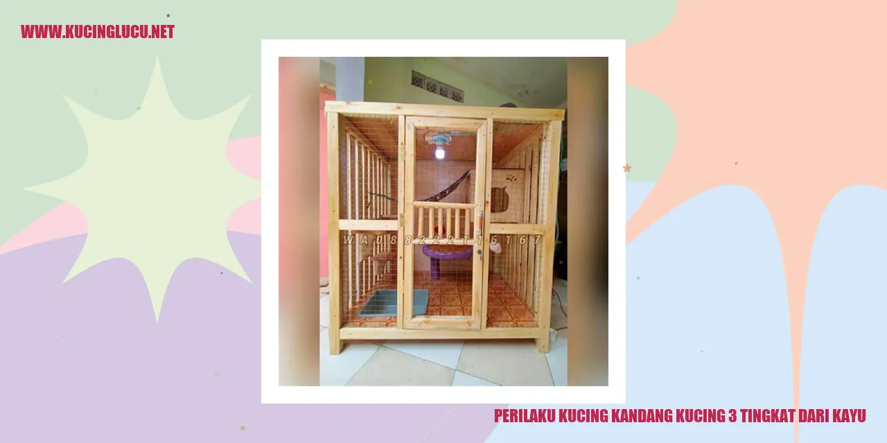 Perilaku Kucing kandang kucing 3 tingkat dari kayu