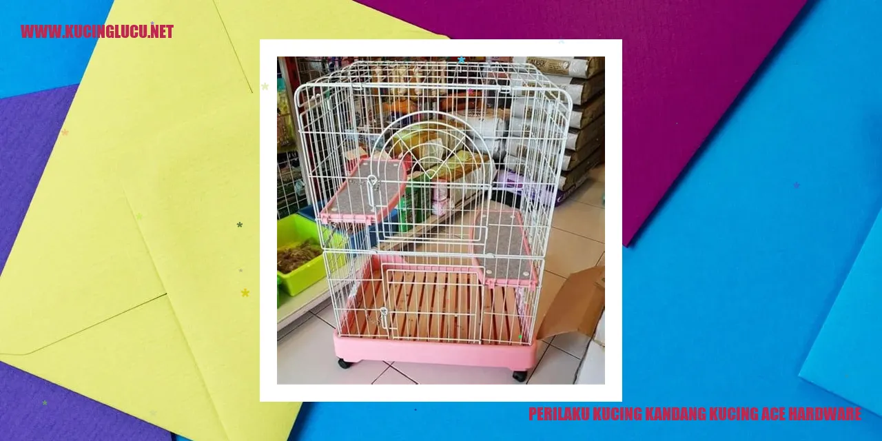 Perilaku Kucing di Kandang Kucing Ace Hardware