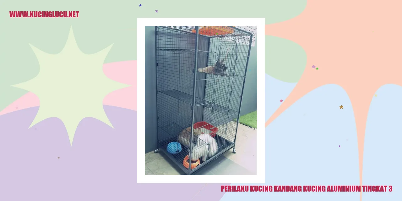 Perilaku Kucing di Kandang Kucing Aluminium Tingkat 3