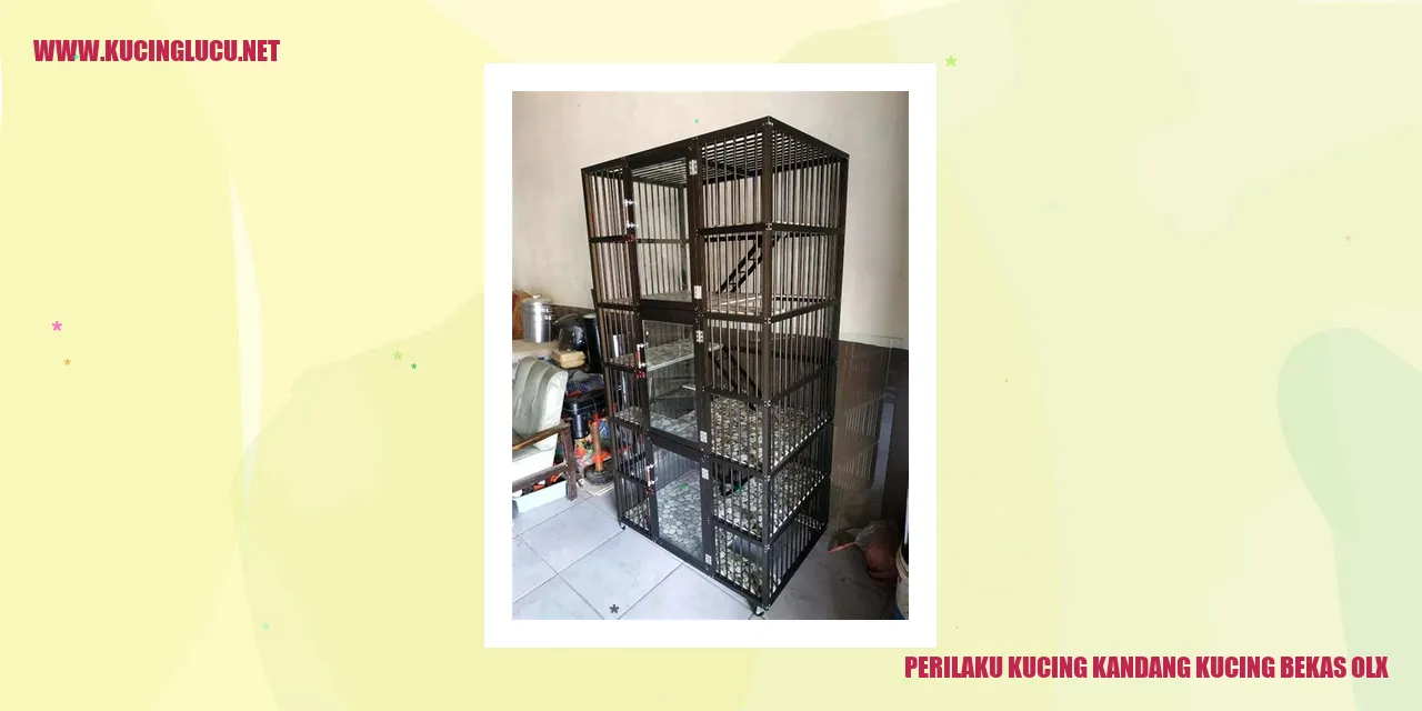Perilaku Kucing kandang kucing bekas olx