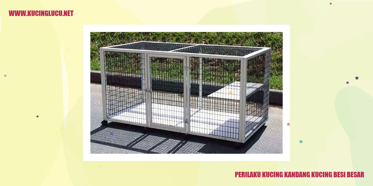 Perilaku kucing dalam kandang kucing besi besar