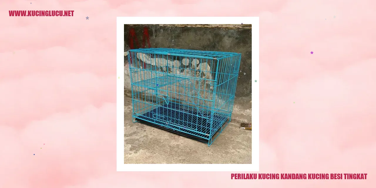 Perilaku Kucing Kandang: Kucing Tangkas di Tempat Tinggi
