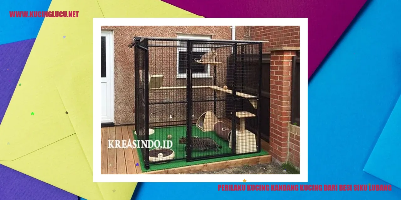 Perilaku Kucing di dalam Kandang Besi Siku Lubang