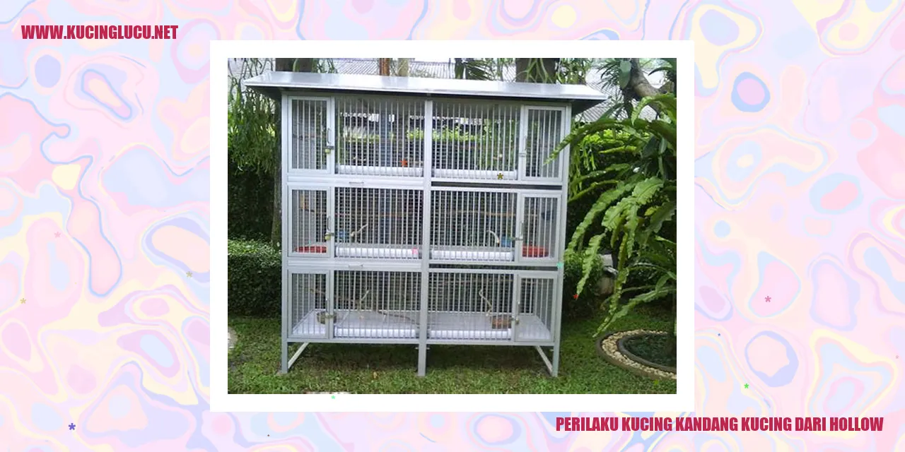 Perilaku Kucing di Dalam Kandang