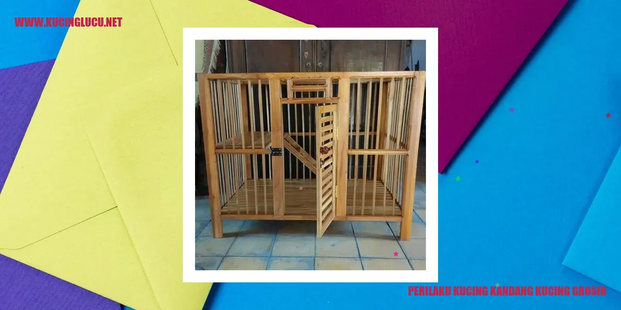 Perilaku Kucing di Kandang Kucing Grosir