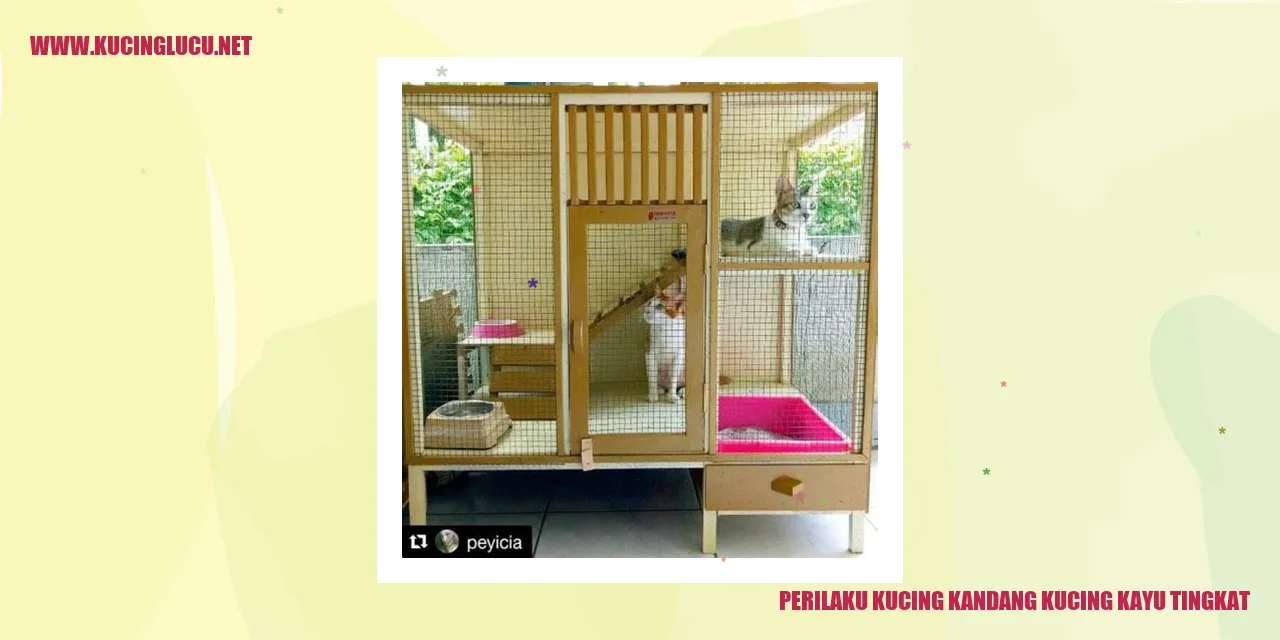 Perilaku Kucing Kandang