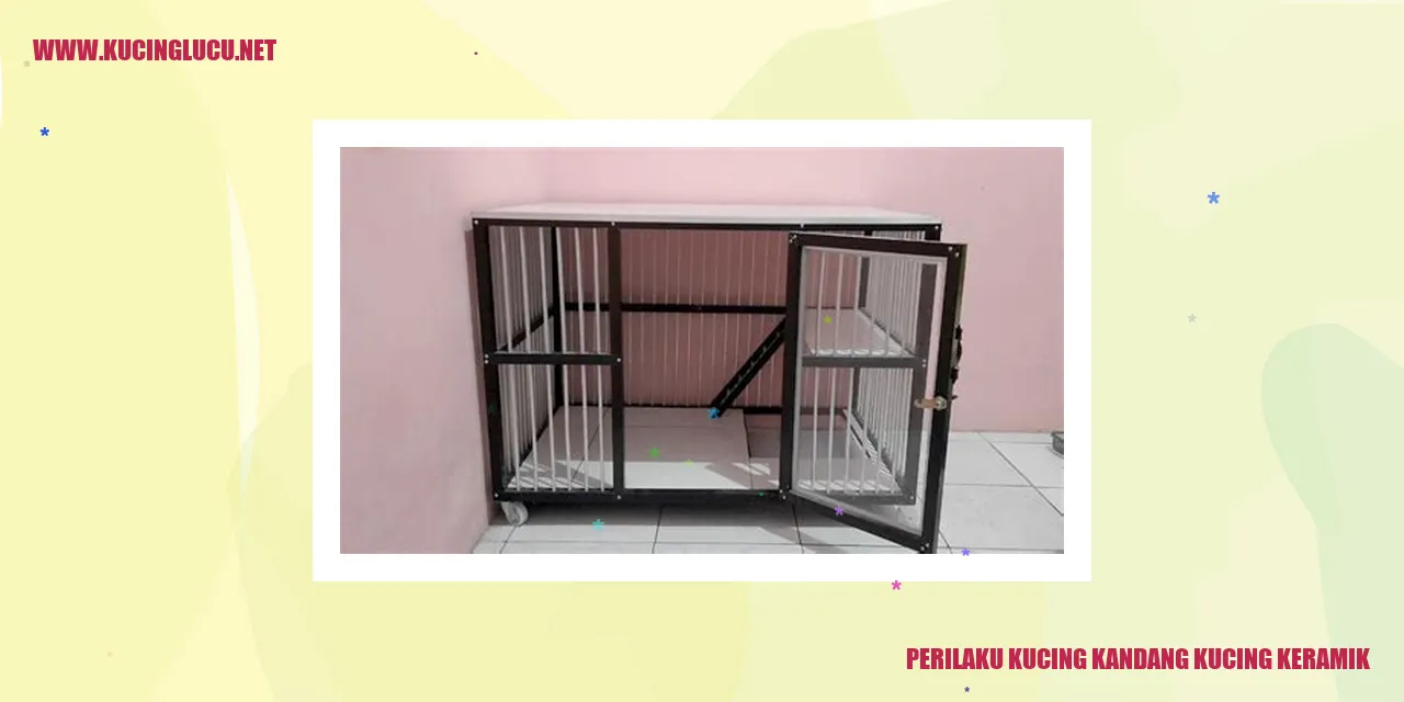 Perilaku Kucing kandang kucing keramik