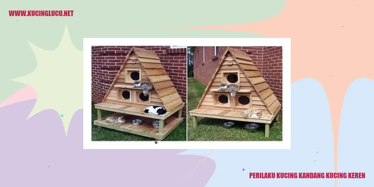 Perilaku Kucing Kandang Kucing Keren