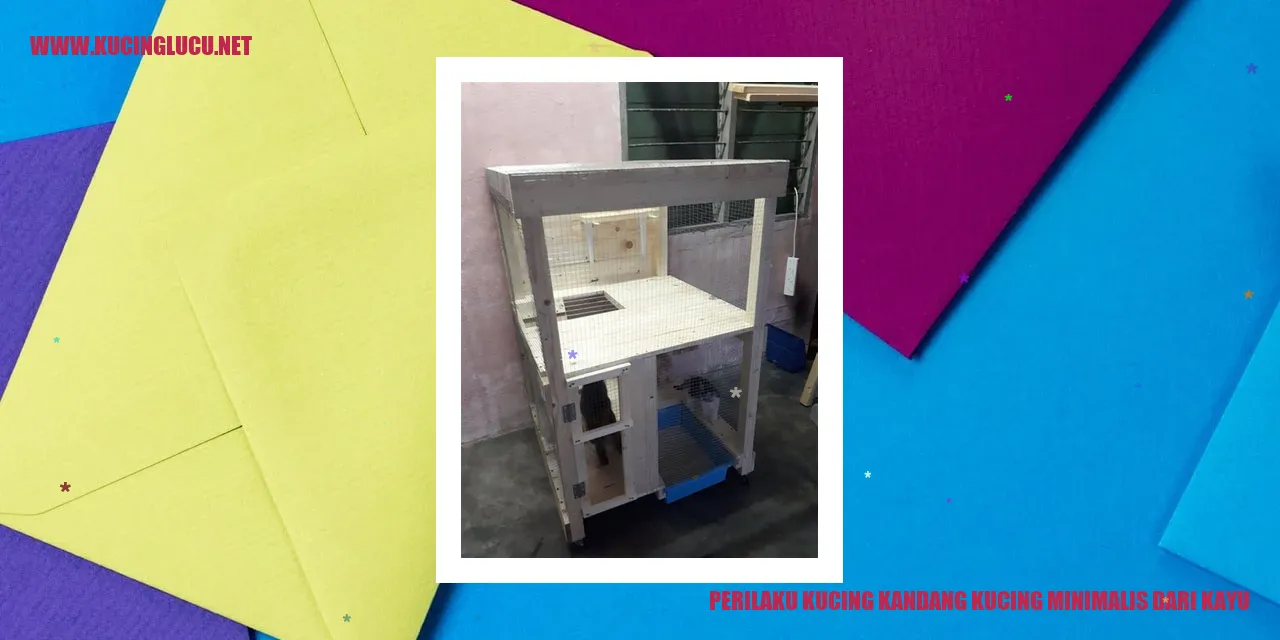 Gambar Kandang Kucing Minimalis dari Kayu