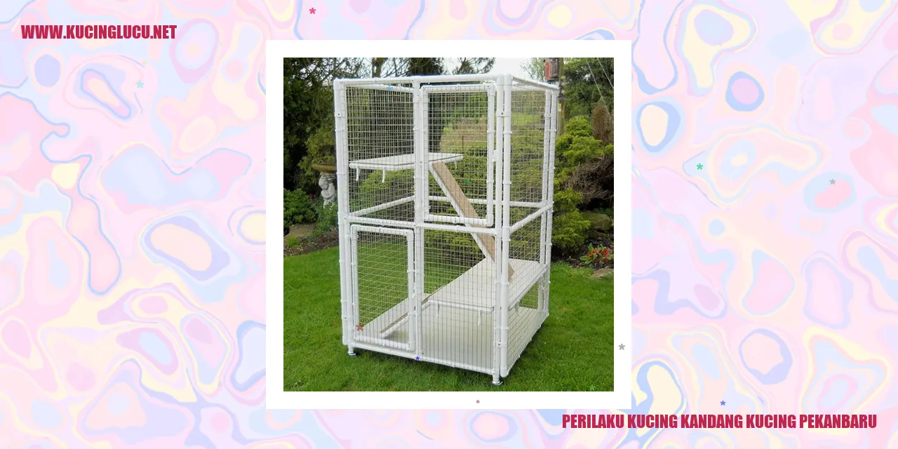 Perilaku Kucing Kandang