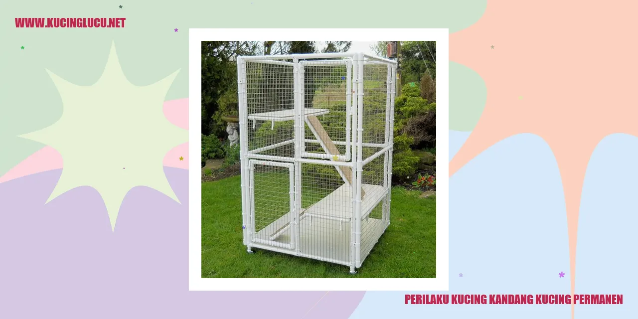 Perilaku Kucing Kandang Kucing Permanen