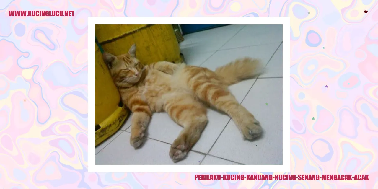 Perilaku Kucing Kandang