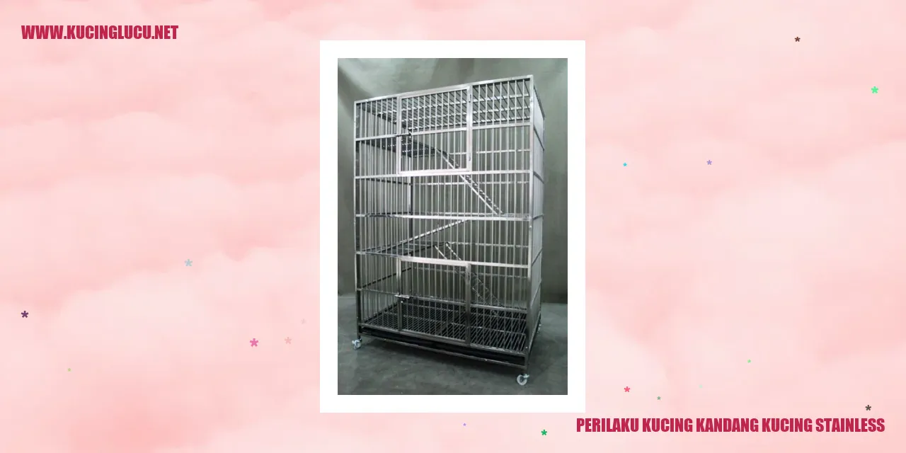 Kucing dalam Kandang Stainless