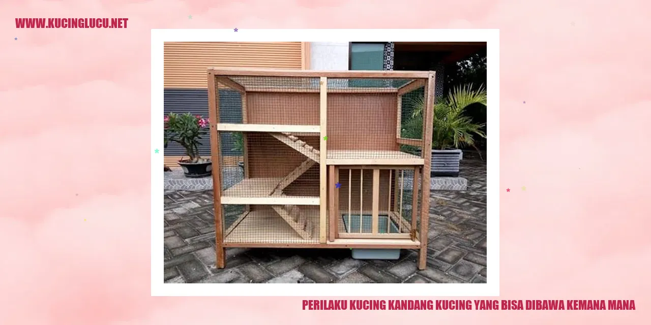 Perilaku Kucing Kandang yang Bisa Dibawa Kemana-mana
