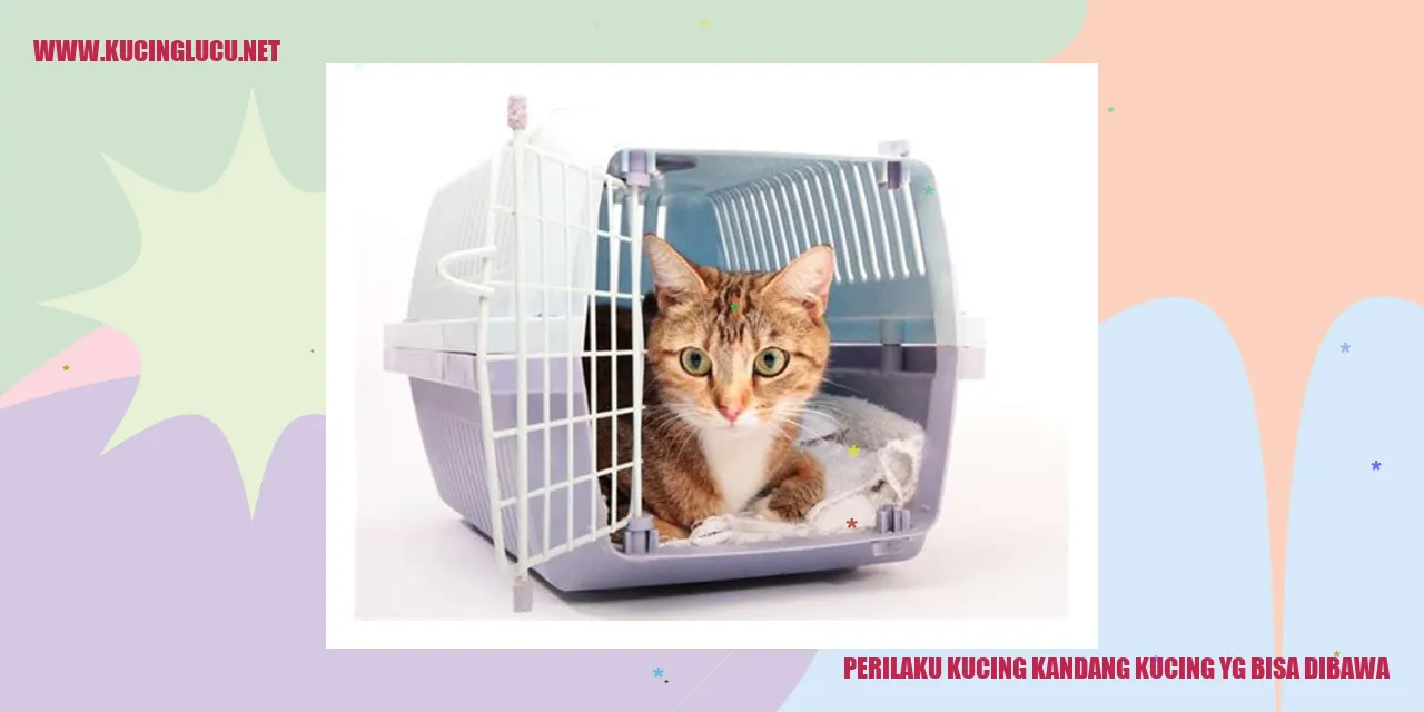 Perilaku Kucing dalam Kandang yang Dapat Dibawa