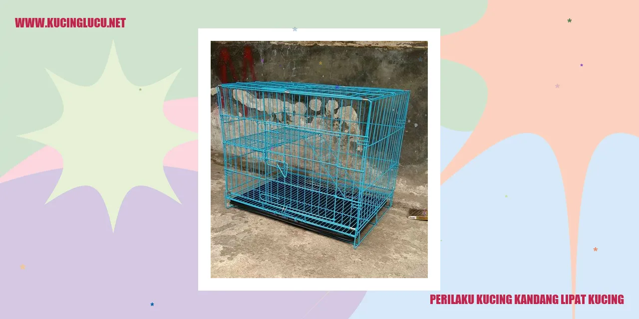 Perilaku Kucing Kandang Lipat Kucing