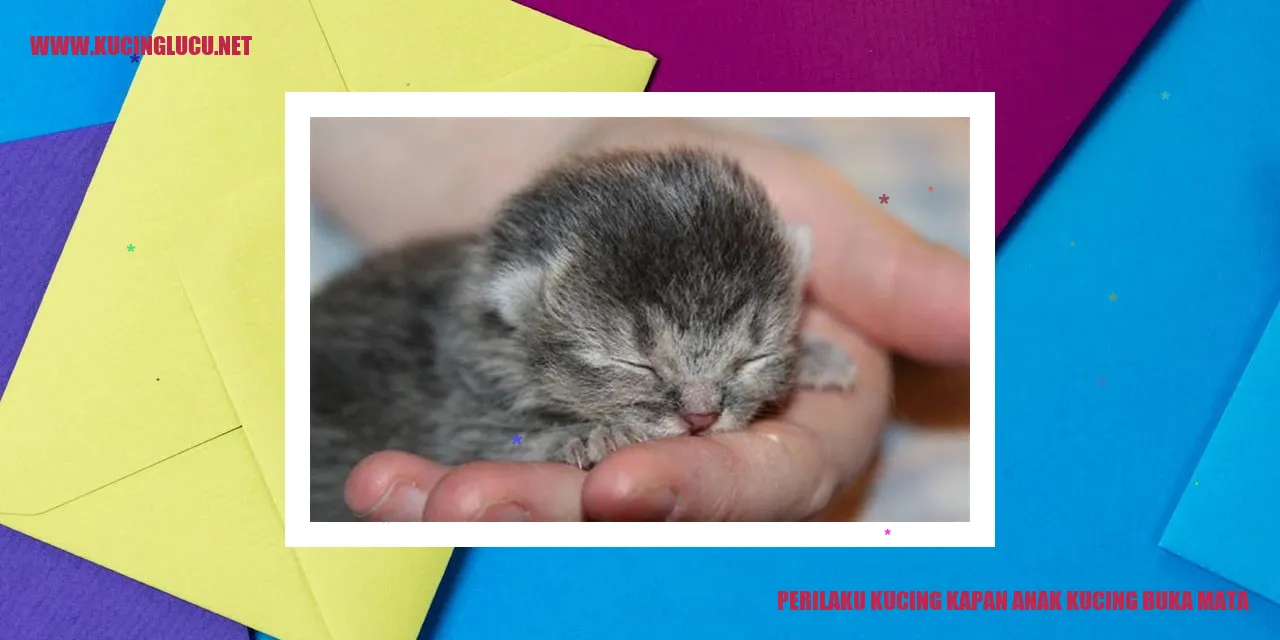 Gambar Kucing yang Menggemaskan