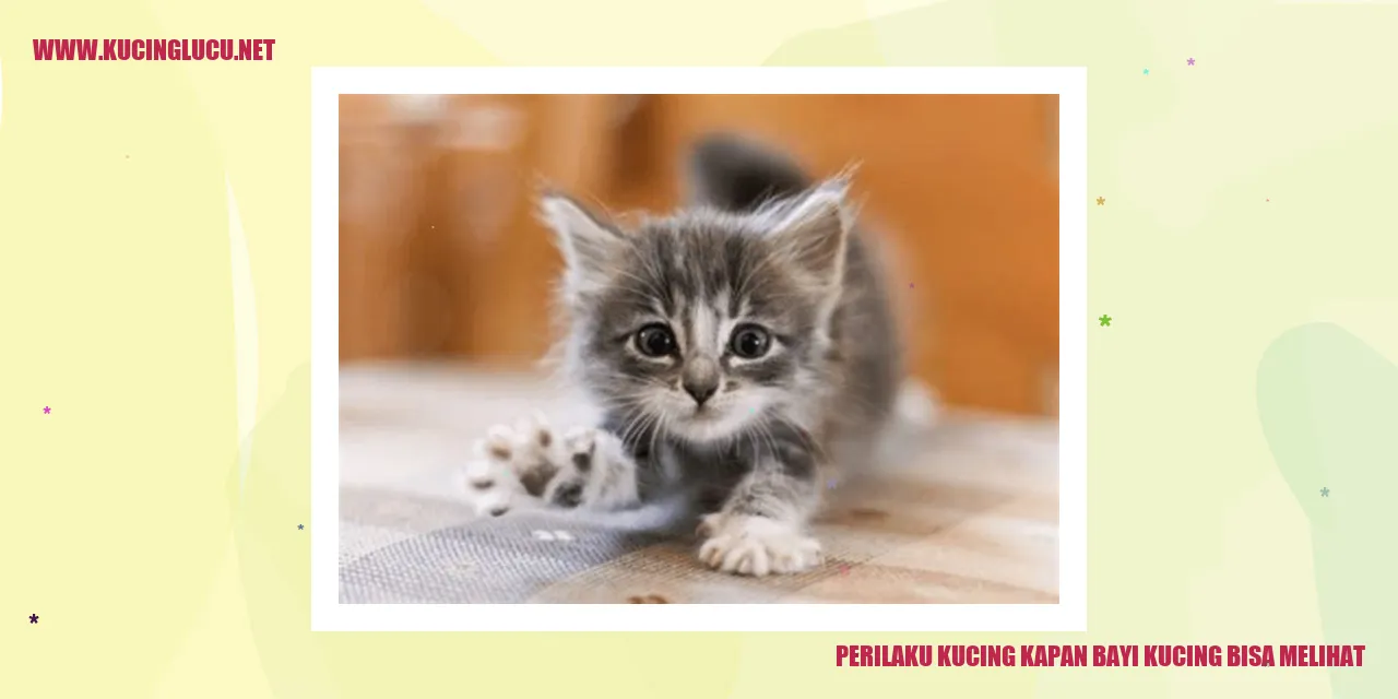 Gambar Kucing