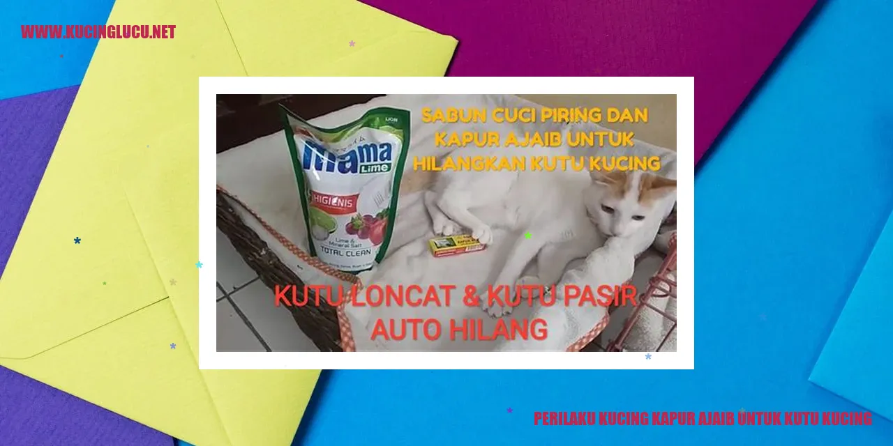 Perilaku Kucing Kapur Ajaib untuk Kutu Kucing