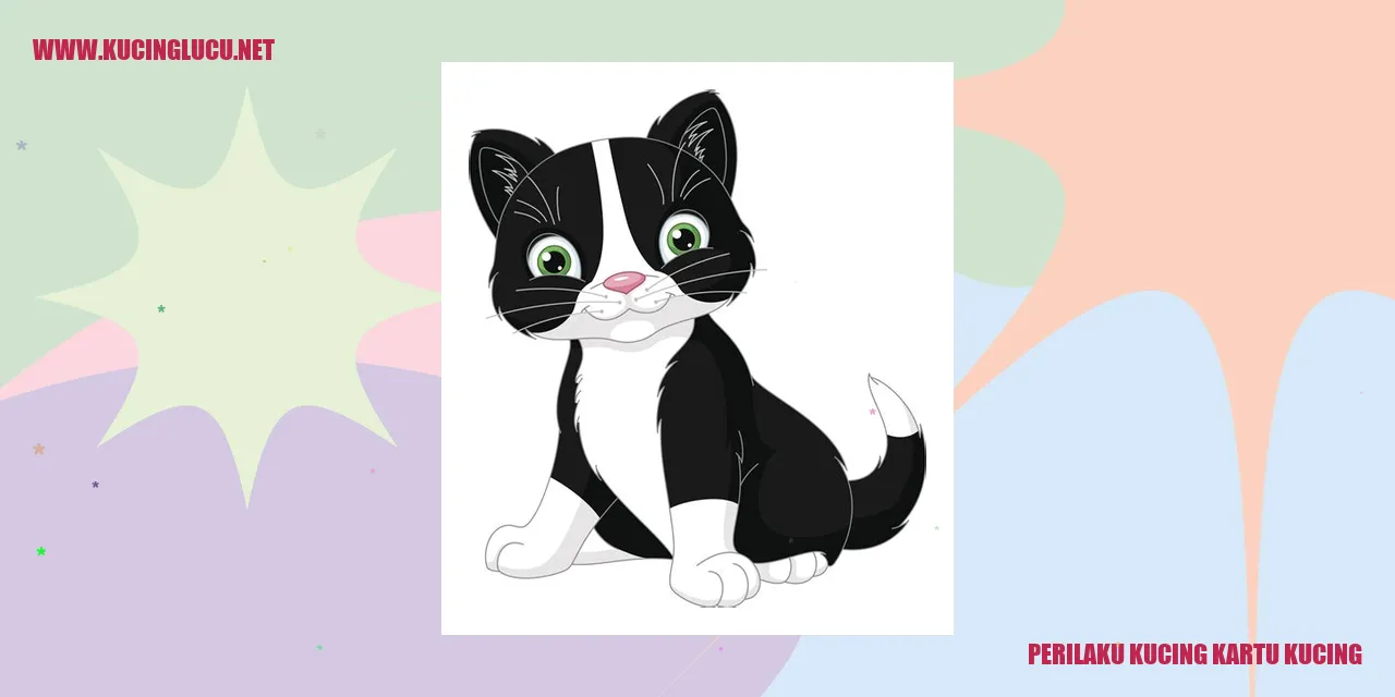 Gambar kucing kartu kucing
