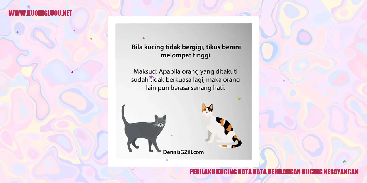 Perubahan Perilaku Kucing saat Kehilangan Kucing Kesayangan