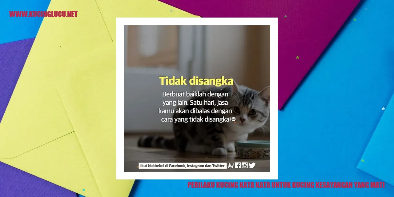 Perilaku Kucing Ketika Mengalami Kehilangan Kucing Kesayangan yang Telah Meninggal