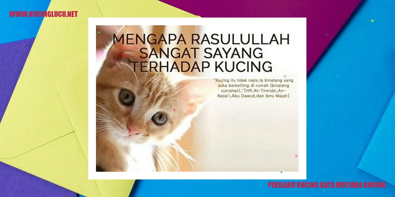 Perilaku Kucing