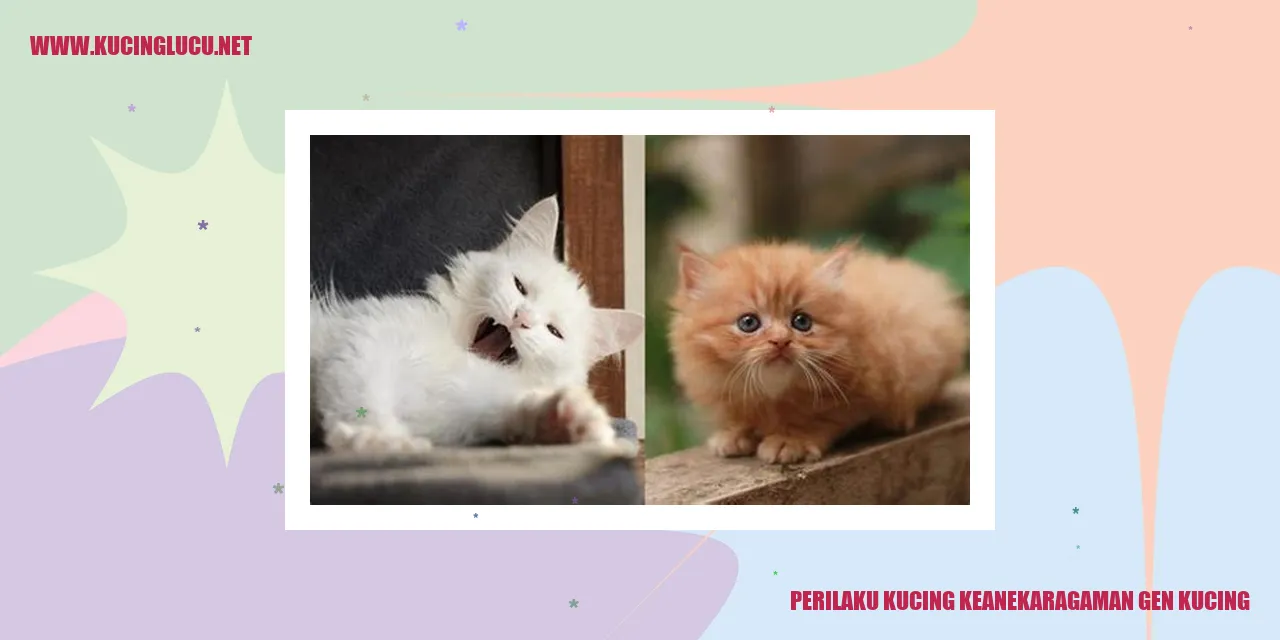 Perilaku Kucing keanekaragaman gen kucing