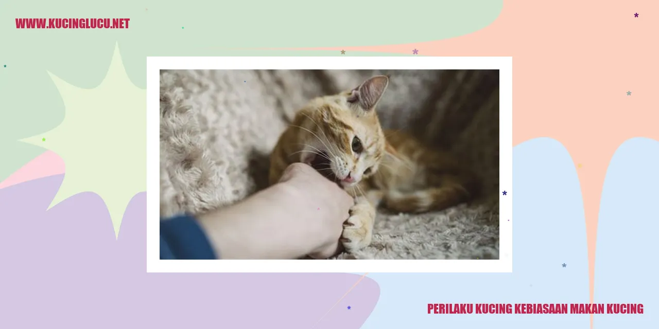 Perilaku Kucing kebiasaan makan kucing