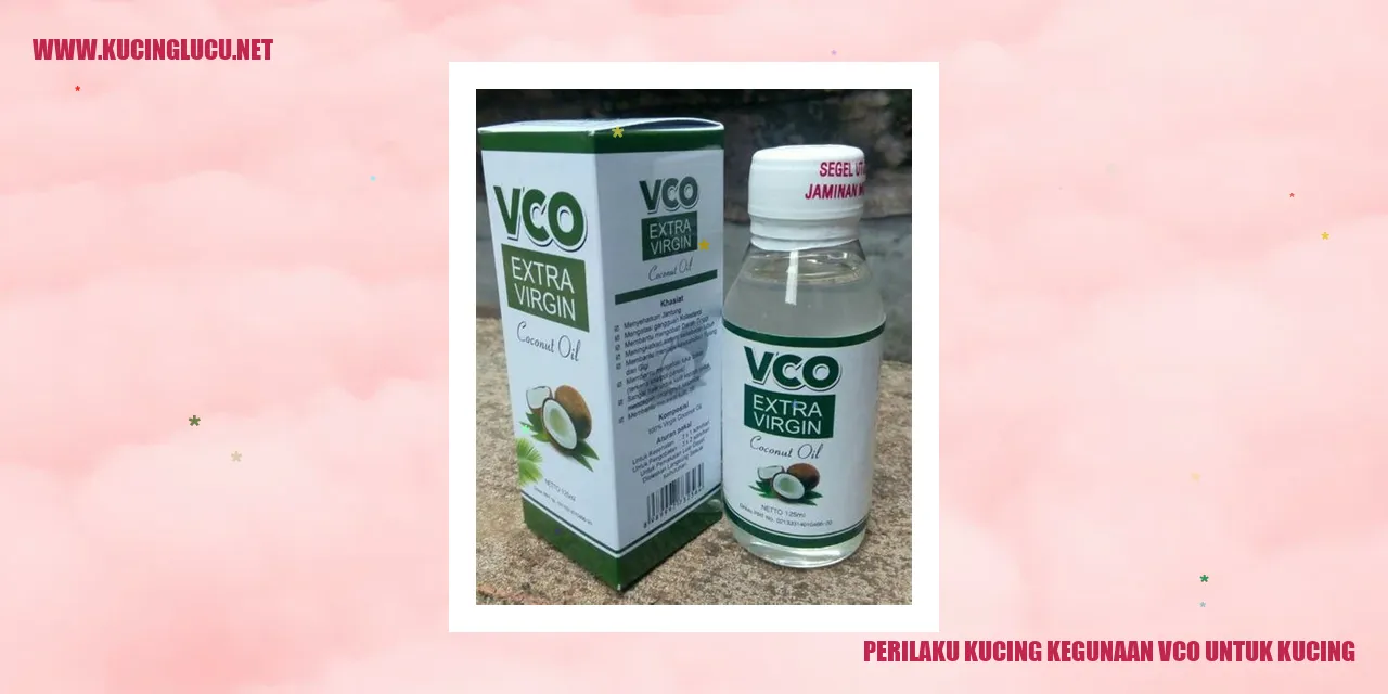 Perilaku Kucing dan Manfaat VCO untuk Kucing